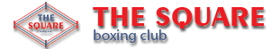 light logo